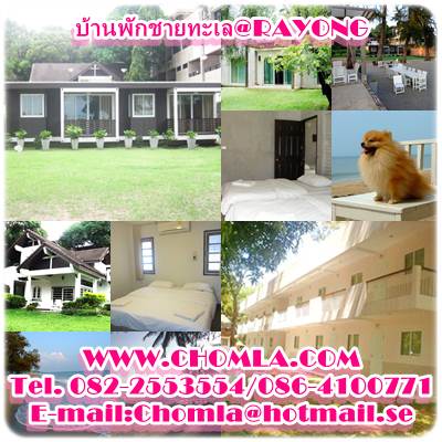 แนะนำบังกะโล บ้านพักตาอากาศที่ระยอง ชายหาดส่วนตัว สนใจติดต่อ...082-2553554/086-4100771 รูปที่ 7