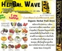รูปย่อ Herbal Wave เครื่องดื่มน้ำผลไม้ผสมสมุนไพร ล้างสารพิษ  รูปที่3