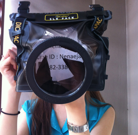 เคสกันน้ำสำหรับกล้อง DSLR ยี่ห้อ DiCAPac รุ่น WP-S10 รูปที่ 3