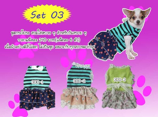 ขาย เสื้อสุนัข เสื้อผ้าสุนัข เสื้อหมา เสื้อผ้าสุนัข กางเกงสุนัข โทร 081-7193381 รูปที่ 7