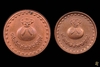 รูปย่อ เหรียญโภคทรัพย์หลวงปู่สงฆ์ วัดเจ้าฟ้าศาลาลอย ชุมพร รูปที่2