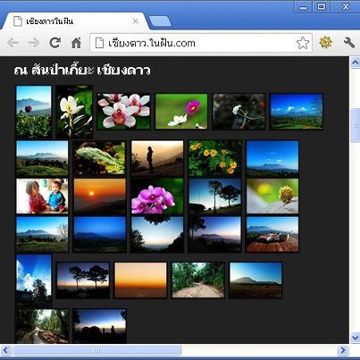 ในฝัน.com ฟรีโดเมนสำหรับคนมีฝัน รูปที่ 5