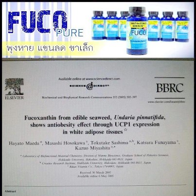 FUCO PURE - ฟูโก้ เพียว (Pre-Order) รูปที่ 6