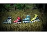 รองเท้าเสก็ต โรลเลอร์เบลด รุ่น XT ยี่ห้อ Xiang Tian ปกติ 2,200 ขายเพียง 1,700 บาท รูปที่ 4