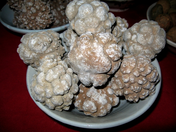 คดหินเต่า / หมากไม้มณีโคต / พระสีวลี รูปที่ 2