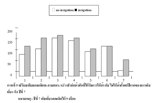ขาย / รับจอง  ต้นกล้าปาล์มน้ำมัน “เทเนอร่า” พร้อมใบรับรองสายพันธุ์ รูปที่ 4