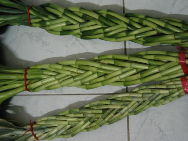 ขายไผ่กวนอิมนำโชค ปลีก-ส่ง รูปที่ 3