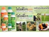 รูปย่อ Hy life gro นวัตกรรมใหม่ สำหรับเกษตรกรและชาวนา รูปที่2