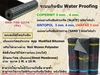 รูปย่อ Waterstop PVC พีวีซีวอเตอร์สต๊อป Grout  Latex Hydrooproof Primer Tremproof60 Geotextile Pe Sheet WaterSwell  MembraneAPP รูปที่4