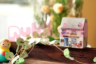 กล่องเหล็กรูปบ้าน รูปที่ 2
