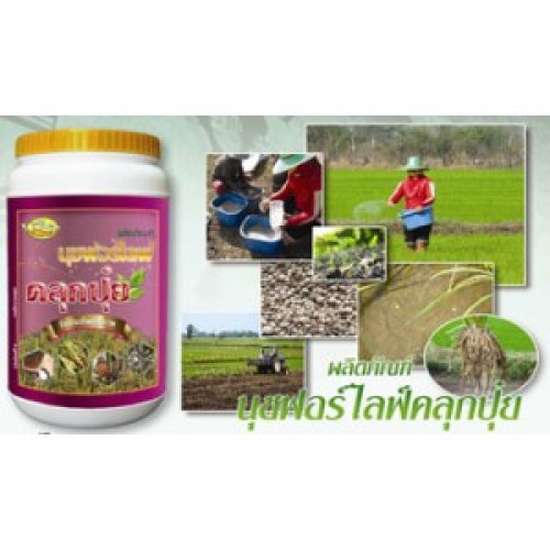 สินค้าเกษตรนุชฟอร์ไลฟ์ จากTVมงคลแชนแนล ขนาด 100 ซี.ซี. 350 บาท ใช้ได้ถึง 10ไร่ รูปที่ 5