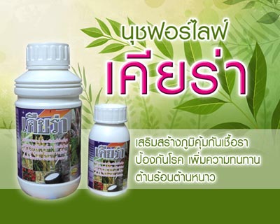 สินค้าเกษตรนุชฟอร์ไลฟ์ จากTVมงคลแชนแนล ขนาด 100 ซี.ซี. 350 บาท ใช้ได้ถึง 10ไร่ รูปที่ 4