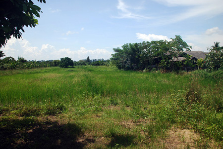 Land for Sale @ Sarapee, Chiang Mai -: 5 Rai 48 sqm. ( 8048 sqm ) รูปที่ 3