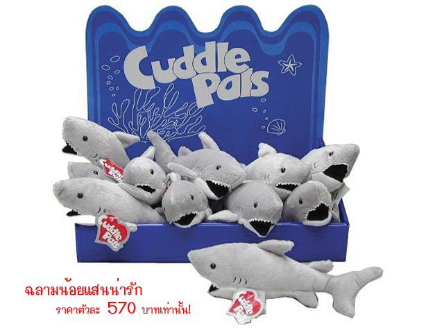 Cuddle Pals - Baby Shark ของแท้ นำเข้าจากฮ่องประเทศจีน รูปที่ 1