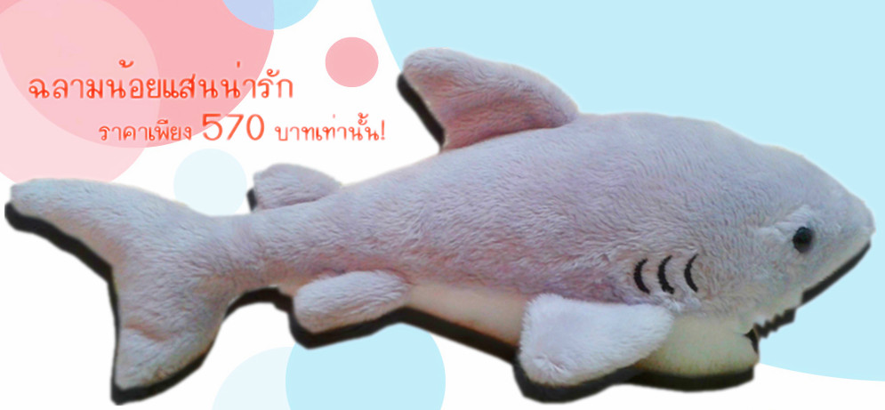 Cuddle Pals - Baby Shark ของแท้ นำเข้าจากฮ่องประเทศจีน รูปที่ 2