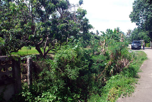 Land for Sale @ Sarapee, Chiang Mai -: 5 Rai 48 sqm. ( 8048 sqm ) รูปที่ 7