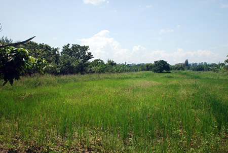 Land for Sale @ Sarapee, Chiang Mai -: 5 Rai 48 sqm. ( 8048 sqm ) รูปที่ 2
