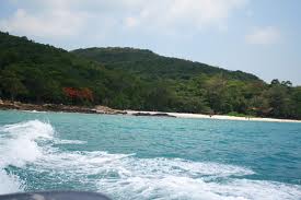 เรือเร็ว รูปที่ 5