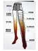 รูปย่อ กางเกงเลกกิ้งกระชับต้นขา Be Health เพื่อขาเรียวสวย ลดไขมัน รักษาและป้องกันเส้นเลือดขอด  แนะนำโดยแพทย์ รูปที่3