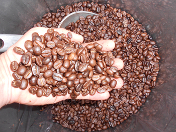 จำหน่ายกาแฟคั่ว-บด รูปที่ 3