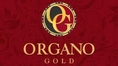 บริษัท Organo gold ธุรกิจเครือข่ายเกี่ยวเฟรนชายด์กาแฟกำลังหาคนมาเพื่อขยายสาขา