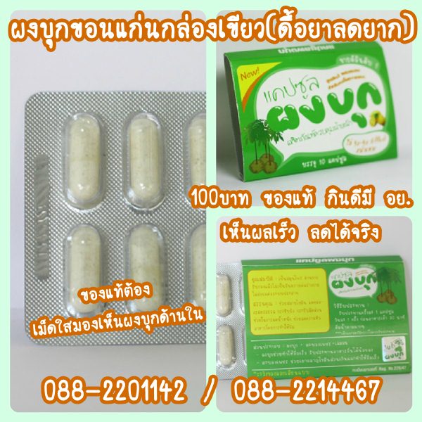 100บาท ผงบุกขอนแก่นกล่องเขียว(ดื้อยาลดยาก) ของแท้ กินดีมี อย.เห็นผลเร็วลดได้จริง   รูปที่ 1