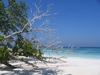 รูปย่อ ทัวร์เกาะตาชัย เกาะสวยน้ำใส ดำน้ำดูปะการัง รูปที่2
