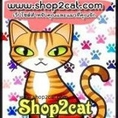 ขายอุปกรณ์เลี้ยงแมว อาหารแมว ขายแมว www.shop2cat.com