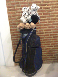 ขายกระเป๋ากอล์ฟของผู้หญิงยี่ห้อ wilson พร้อมอุปกรณ์ไม้ครบ ขายด่วนมากค่ะ รูปที่ 3