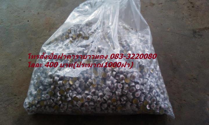 คาราบาวแดงฝาคาราบาวแดงล้างและแกะโฟมแล้ว โลละ 400บาท(ประมาณ1พันฝา) O83-322OO8O รูปที่ 2