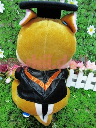 ตุ๊กตา Dale รับปริญญา รูปที่ 2