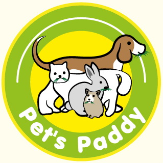 ชุดปลูกข้าวสาลีแมว ปลูกง่าย สะดวก ปลอดภัย www.petinumpetshop.com                      รูปที่ 4