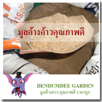 ดินดำดีการ์เด้นท์ รูปที่ 2
