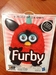 รูปย่อ Furby เหลือ 2 ตัว พร้อมส่งเลยค่ะ สีทูโทน หายาก หิ้วมาเองค่ะ รูปที่3