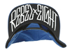 รูปย่อ  หมวก Rebel8 รุ่น All City Snapback Cap รูปที่2