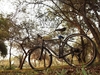 รูปย่อ จักรยานคัดเกรดนำเข้า ทัวร์ริ่งสปอร์ต Touringbicycle GIANT Escape R3 ไจแอนท์ราคาถูก รูปที่1