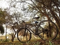 จักรยานคัดเกรดนำเข้า ทัวร์ริ่งสปอร์ต Touringbicycle GIANT Escape R3 ไจแอนท์ราคาถูก