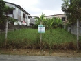 ขายที่ดิน 65 ตรว บางกรวย-ไทรน้อย