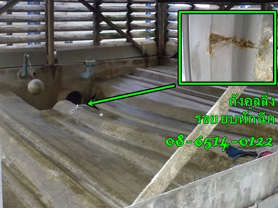 ซ่อมถังเก็บน้ำไฟเบอร์กลาส [ F.R.P.]  ซ่อมเรือไฟเบอร์กลาส [ F.R.P.] รูปที่ 3