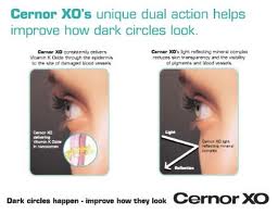 Cernor Kit รูปที่ 5