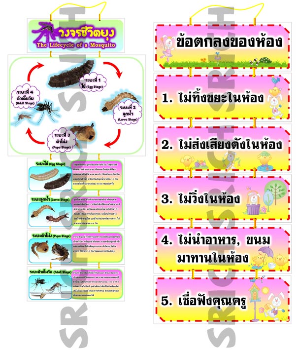 สื่อการเรียนการสอนสำหรับเด็กประถมวัย-ประถมศึกษา รูปที่ 3