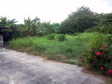 House  for sale @ Padad, Muang district, Chiang Mai 198 sqw   รูปที่ 4
