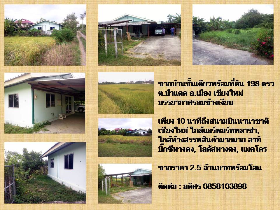 House  for sale @ Padad, Muang district, Chiang Mai 198 sqw   รูปที่ 1