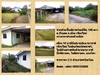 รูปย่อ House  for sale @ Padad, Muang district, Chiang Mai 198 sqw   รูปที่1