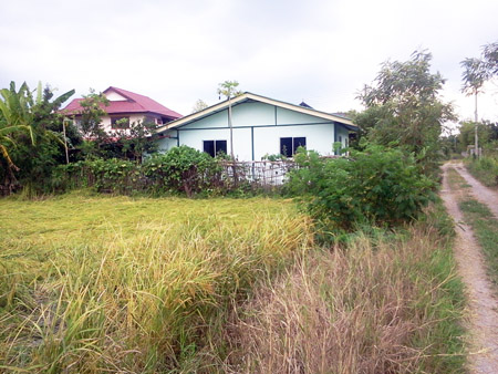 House  for sale @ Padad, Muang district, Chiang Mai 198 sqw   รูปที่ 2