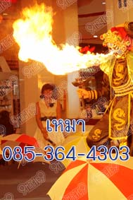 เปลี่ยนหน้ากากจีน,การแสดงจีน,งิ้วเปลี่ยนหน้ากากจีน,โชว์เปลี่ยนหน้า,อุปรากรจีน 085 - 364 -4303 รูปที่ 5