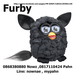 รูปย่อ Sale Furby จ้า ของมีจำนวนจำกัด ติดต่อมาเลยยยยย 0868380880 NOW, 0817110424 PAH รูปที่4