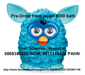 รูปย่อ Sale Furby จ้า ของมีจำนวนจำกัด ติดต่อมาเลยยยยย 0868380880 NOW, 0817110424 PAH รูปที่3