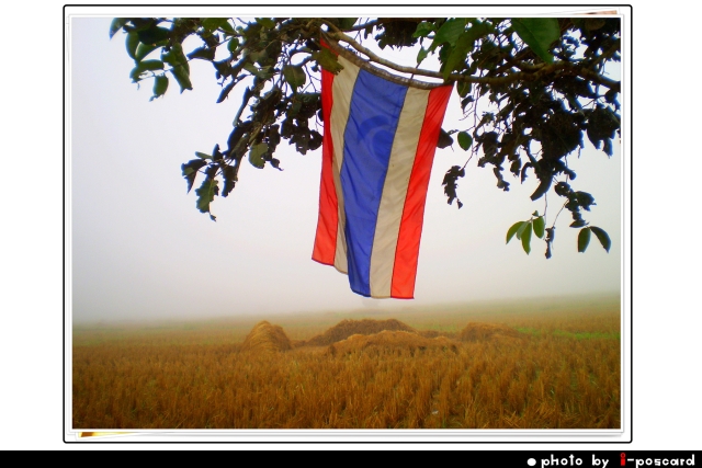 โปสการ์ด รูปที่ 2