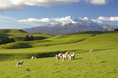 New Zealand North Island 6 days